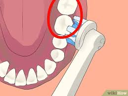 Know how you brush your teeth. How To Use An Electric Toothbrush With Braces With Pictures