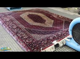 oriental rug cleaning orlando like