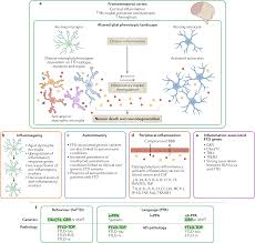 Neuroinflammation In Frontotemporal Dementia Nature