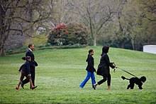 The portuguese water dog, who arrived at the white house in april 2009, was a jubilant presence when he was with. Bo Dog Wikipedia