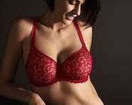 trendy lingerie sets 2024 fashion luxurious collection, AI generated