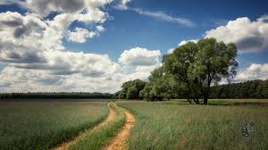 Das ist babie lato seite liste. Hintergrundbilder Strasse Sommer Europa Sommer Reservieren Polen Polska Naturschutzgebiet Droga Feldweg Vogelschutzgebiet Pl Naturreservat Lato Schlagen Drogapolna Rezerwat Zachodniopomorskie Bolk W Rezerwatprzyrody Widwie Wojew