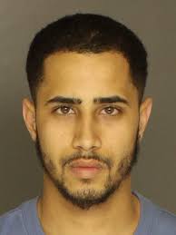 Trial ahead in York City dog beating that went viral online