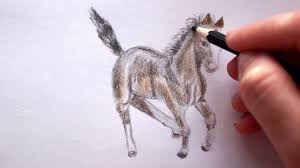 Pferd Zeichnen Lernen Pfedchen Malen How To Draw A Horse Kak Narisovat Konya Loshad Youtube