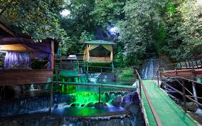 مطعم الشلال في انطاليا لذة الأطباق التركية وسط طبيعة خلابة تورنا