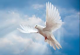 God the Holy Spirit (Part I): Introducing the Holy Spirit – Bible ...