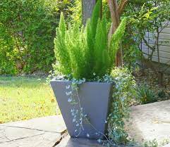 End Of Summer Garden Design Tips Succulent Landscape Design Fall Vegetables To Plant Foxtail Fern