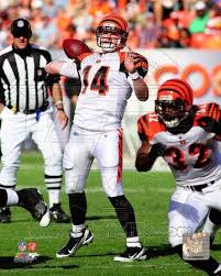 Cincinnati Bengals Nfl Jewelry Posters And Wall Decals Cincinnati Bengals Bengals Bengals Football
