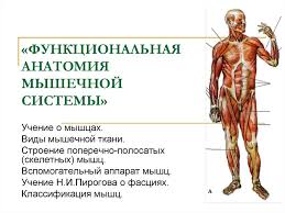 что можно есть при сахарном диабете 2 типа таблица K Ggep0la350qm
