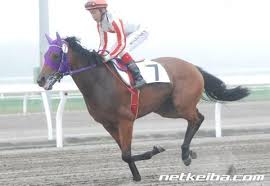 父名 グラスワンダー 母父名 スペシャルウィーク の競走馬検索 競馬データベース Netkeiba Com