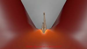 Fennix full of Fox anal vore Fortnite