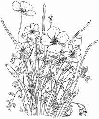coloriage fleurs page 2 poppy coloring garden pages flower drawing pacman zodiaque