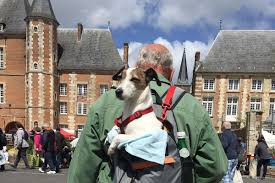 Price is $1,200 cash firm. Best Flea Markets In France My Top 5 Faraway Places