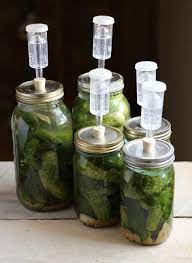 Put them in a jar with a tight lid. Homemade Fermented Pickle Recipe The Prairie Homestead