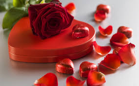 Looking for the best wallpapers? Rote Rose Liebesherz Sussigkeit Geschenk Blumenblatter Romantisch 3840x2160 Uhd 4k Hintergrundbilder Hd Bild