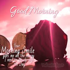 220+ sweet things to say to your girlfriend today. 60 Good Morning Messages For Girlfriend Short And Flirty