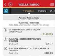 Someone Posted A Hilarious Screenshot Of Their Wells Fargo Deposit Saying That The Stimulus Checks Came In I Wanted To Grab It To Send To A Friend But Can T It Anywhere Online