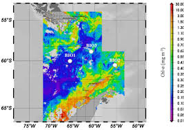 Join facebook to connect with jasmin jtm and others you may know. Using Fe Chemistry To Predict Fe Uptake Rates For Natural Plankton Assemblages From The Southern Ocean Sciencedirect