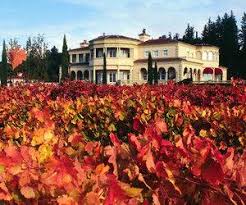 We have reviews of the best places to see in healdsburg. Ferrari Carano Vineyards And Winery Winery With A Full
