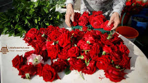 So if we say we do same day flowers delivery, then we mean every word said and will deliver you the flowers on the same day. Why Do Rose Prices Go Up At Valentine S Day Little Flower Hut