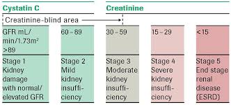 72 systematic kidney creatinine level chart