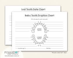 73 Exact Baby Tooth Chart Letters