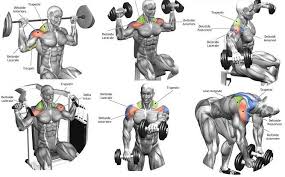 Best Shoulder Workout Amtworkout Co