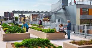 Gallery Of Aia Hud Secretary Awards Recognize Three Outstanding Housing Projects 1 Rooftop Design Roof Garden Rooftop Garden