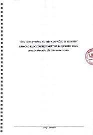công ty tnhh mtv báo cáo tài chính hợp nhất đã được kiểm toán