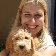 Miami Dolphins Team Performance Review and Expectations