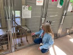 Improving the lives of cats and dogs through adoption, spay and neutering and community partnerships. Adopts Continue At Homeward Bound Shelter But Fosters Needed For Cats