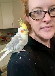 Hello to Bluey and Pikachu