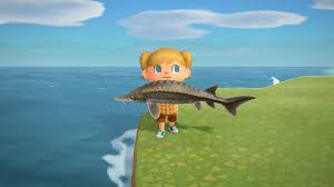 Carp | Animal Crossing Wiki | Fandom