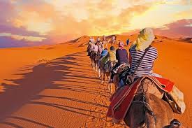 This overnight camel trekking tour is a chance to take a camel ride through the desert, watch sunset & sunrise over the golden sand dunes of erg chebbi (merzouga) and spend an extraordinary night at. Overnight Camel Trekking In Sahara Desert Merzouga Ouarzazate Morocco Activities Lonely Planet