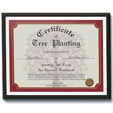 The art of living internship kolkata. Tree Planting Certificate Postcard Flyer Or Print Contest 99designs