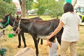 Maybe you would like to learn more about one of these? Agen Un Salon De L Elevage Le 19 Septembre Le Republicain Lot Et Garonne