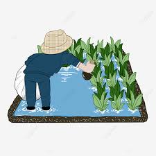 Di suatu desa, hiduplah seorang petani yang sudah tua. Gambar Petani Menanam Benih Padi Penanaman Musim Bunga Seorang Petani Tanah Yang Diusahakan Png Dan Psd Untuk Muat Turun Percuma