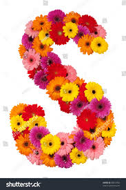 Free high resolution picture download. Letter S Flower Alphabet Isolated On Stock Photo Edit Now 88510450
