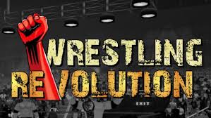 Your goal is to play and fight your opponent in the ring with the character you … Wrestling Revolution 2d Free Download 2021