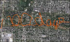 It took another 16 years before the distance of 26.2 miles was introduced, with the 1924 paris olympics being the first to hold the now official marathon distance. Rough Day At The 1904 Olympic Marathon Distilled History
