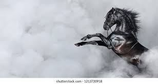 Disegno stilizzato bambina con cavallo ti metti bella e grandi tacchi ma non più per lui se chiama, non rispondi non voleva che la bambina (raccọgliere) i fiori. Animal Cavallo Download Di Sfondi Hd