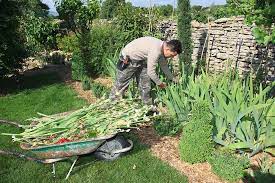 What Does A Landscaper Do? How To Become A Landscaper Career Video