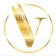 Vidini Technology