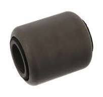 Bush, leaf spring