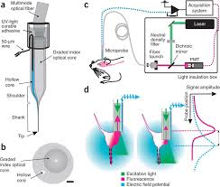 Maybe you would like to learn more about one of these? A Microprobe For Parallel Optical And Electrical Recordings From Single Neurons In Vivo Nature Methods