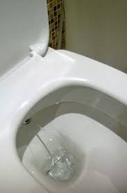 Retrouvez toutes les entreprises de papier toilette en france avec kompass, l'annuaire mondial des entreprises. Alternativen Zu Klopapier Nachhaltige Tipps Anregungen Utopia De