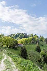 schnebelhorn wanderung auf den hochsten gipfel im kanton zurich wanderung wandern schweiz schweiz reise