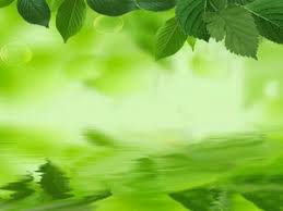 Tentu saja background hd elegant hijau memang sedang banyak dicari oleh orang di internet. Green Leaf Ppt