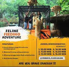 Sudah include gratis shuttle bus safari, 4 pertunjukan satwa, aquatic land, safari adventure, baby zoo, pilih dolphin show atau temple of terror. Promo Taman Safari Bogor Juni 2021 Tiket Masuk Hanya Rp230 000