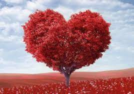 Le 50 Piu Belle Frasi Sull Amore In Inglese Con Traduzione Belle Avere Fede Amore